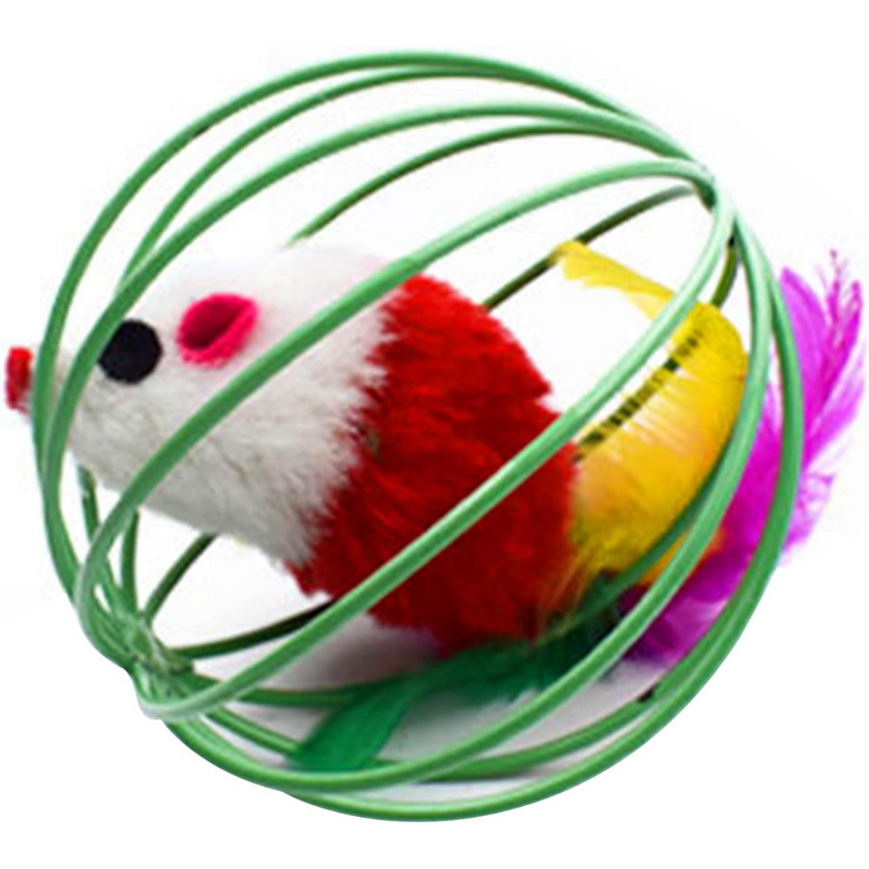 Ratinho no Circulo