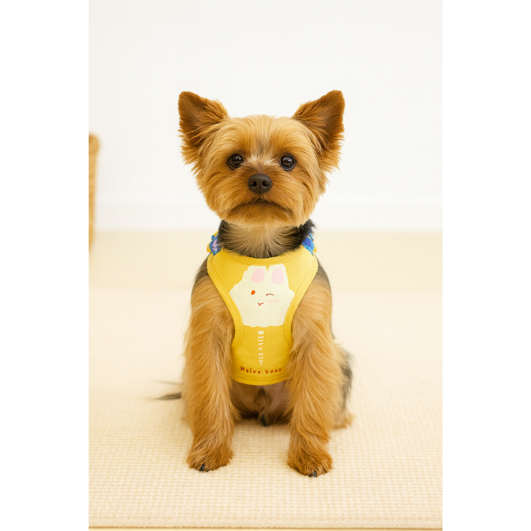 Peitoral com Mochila Coelho