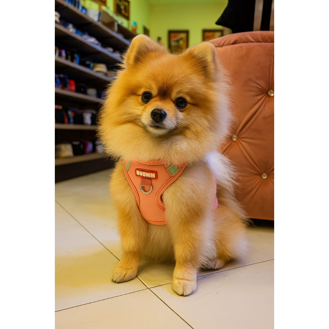 Peitoral com Mochila Melancia