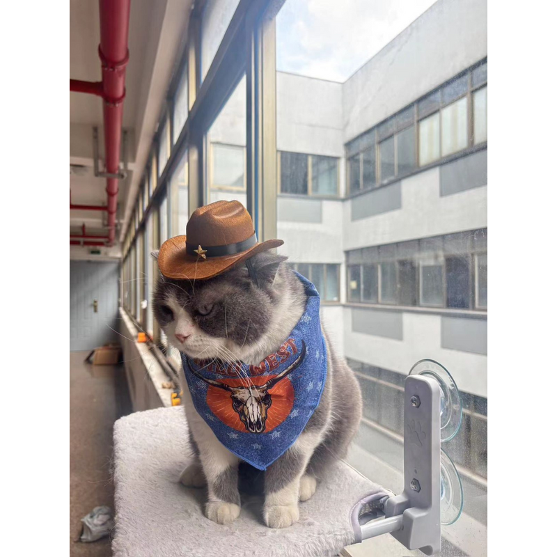 Kit Cowboy