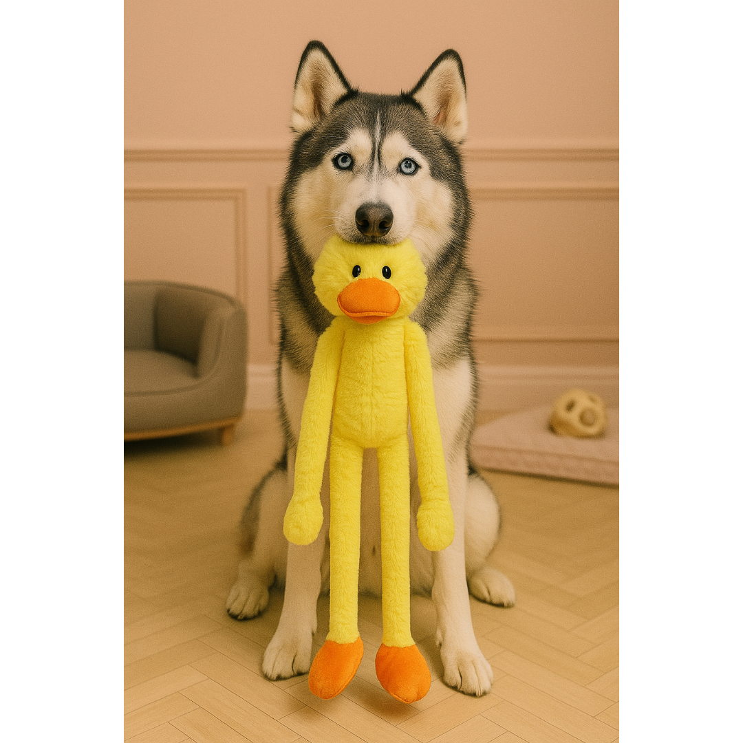 Pelúcia LongLeg Pato