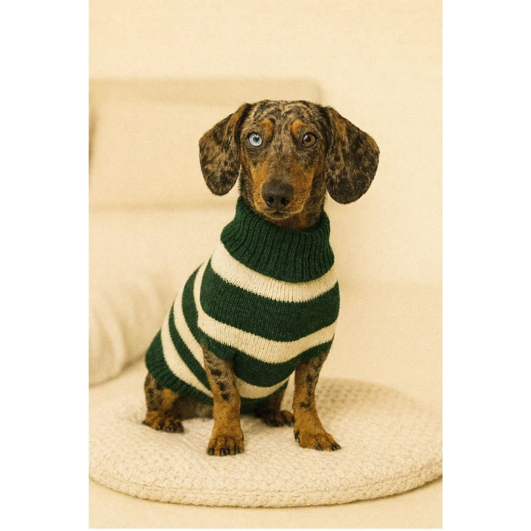 Roupinha Dachshund Listrada